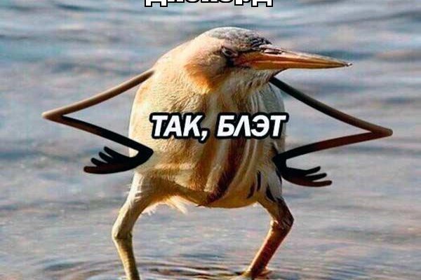 Кракен даркнет отменился заказ