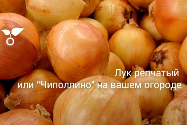 Kraken даркнет что это