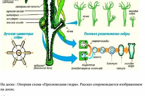 Как зарегистрироваться в kraken